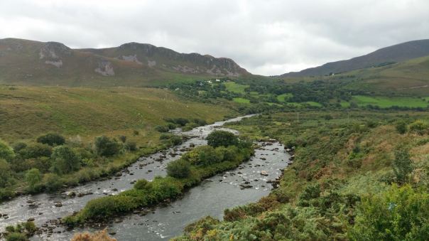 14231164_296646177363821_7339914542137820141_o