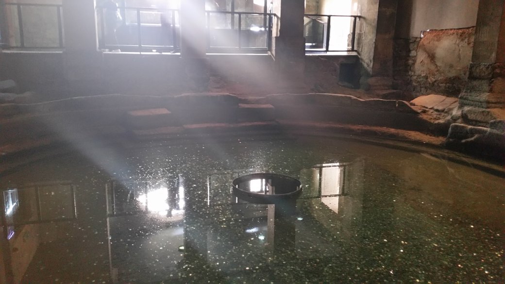 14324497_301947266833712_4937923204816043377_o