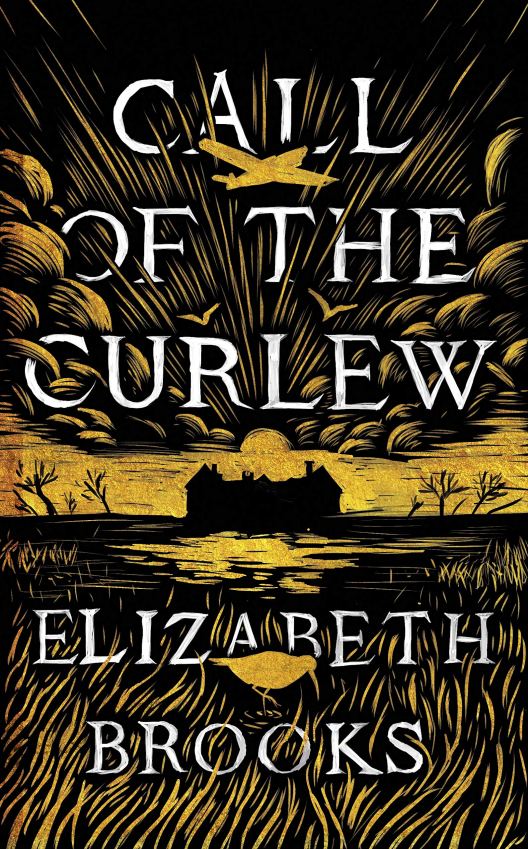 Call of the Curlew by Elizabeth Brooks